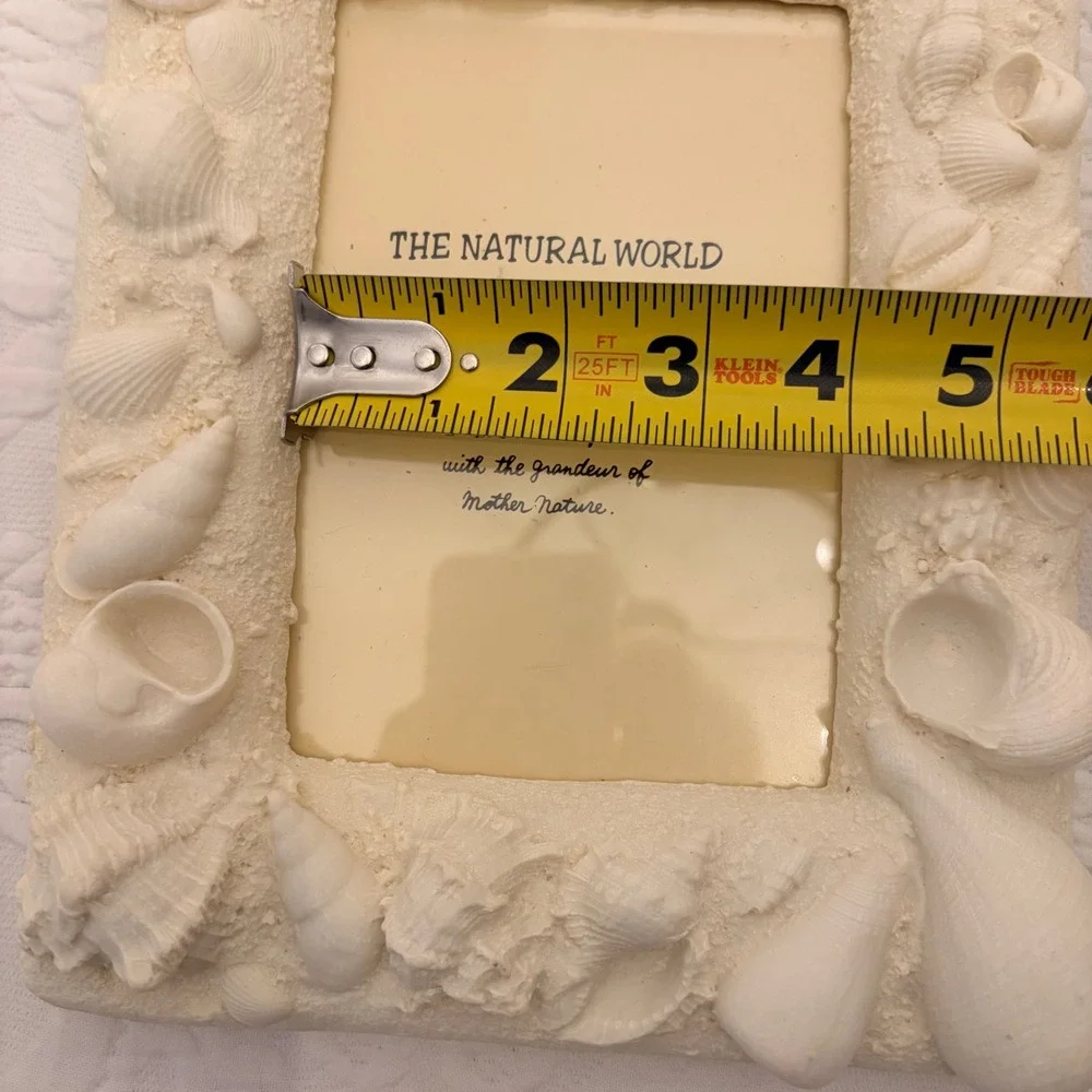 The Natural World Coastal Seashell Picture Frame & 4 Natural Shell Decor Conch